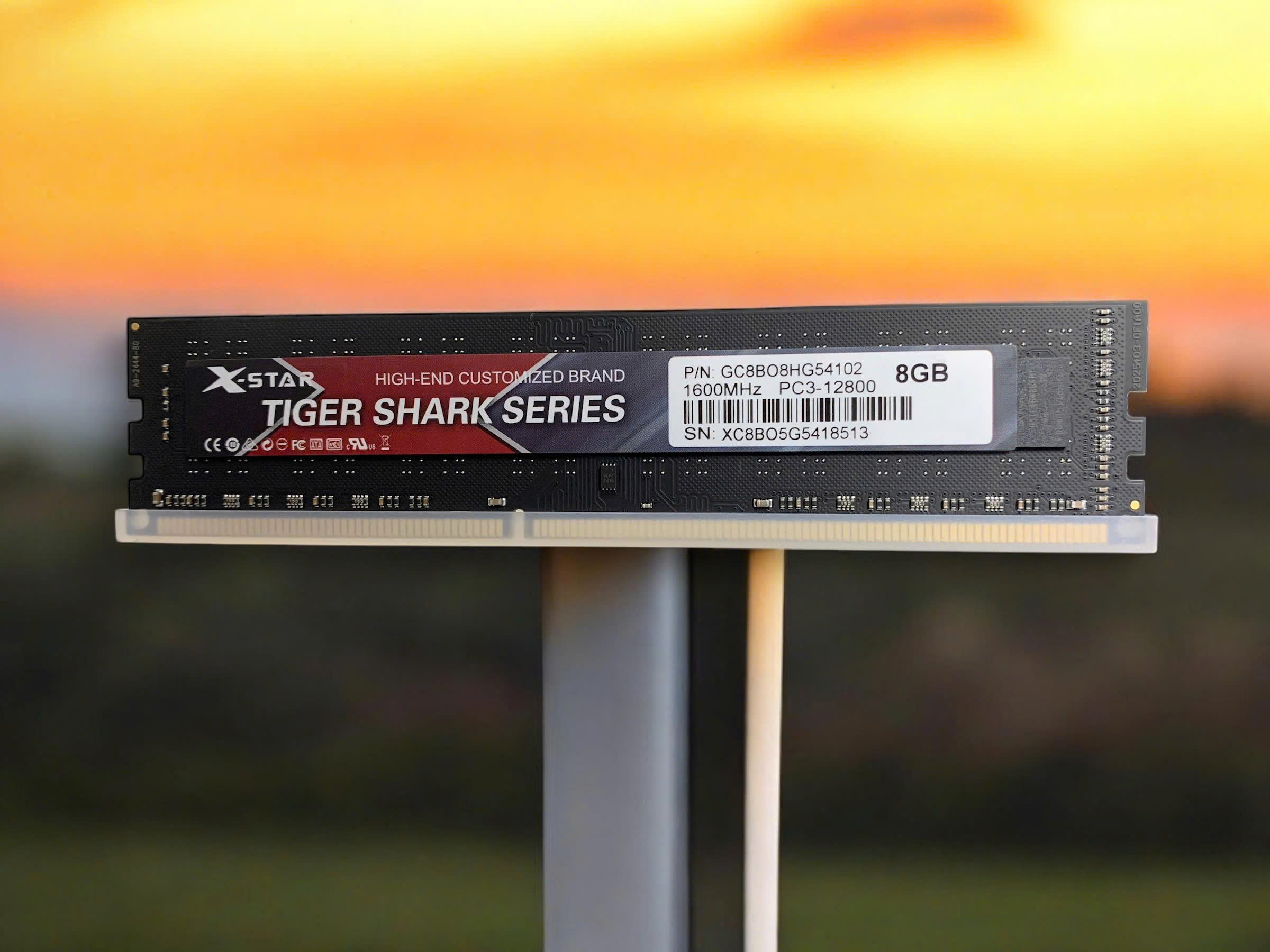 Ram PC Xstar 8GB DDR3 1600Mhz