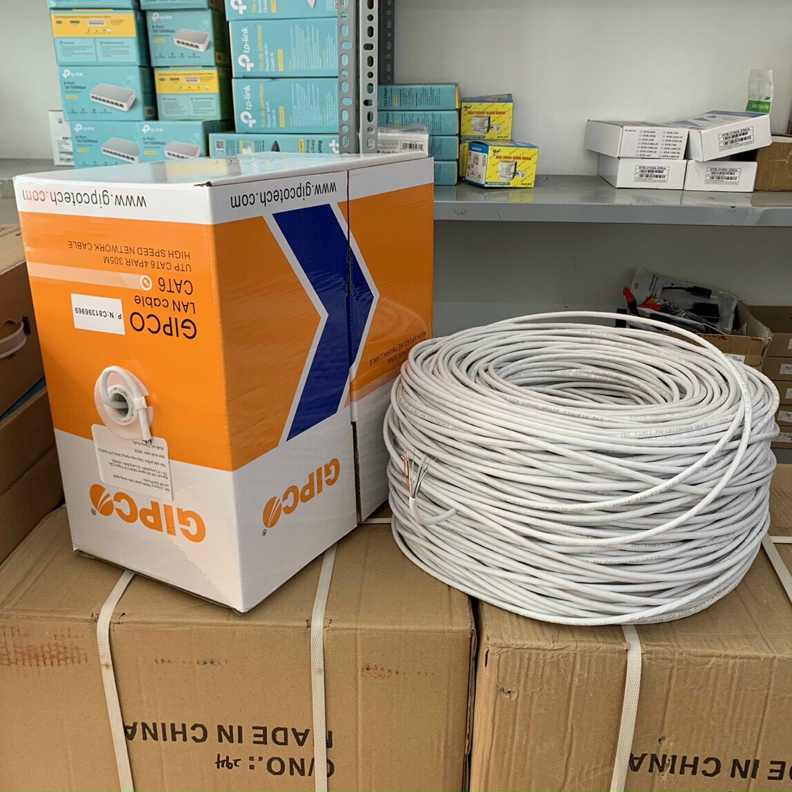 Dây Mạng Gipco Cat 5E Bấm Sẵn 2 Đầu - Độ Dài Tùy Chọn