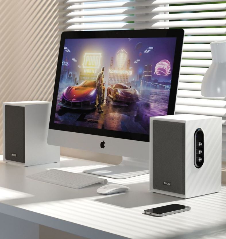 Loa Kiểm Âm Leerfel E-1904 (Aux, Bluetooth)