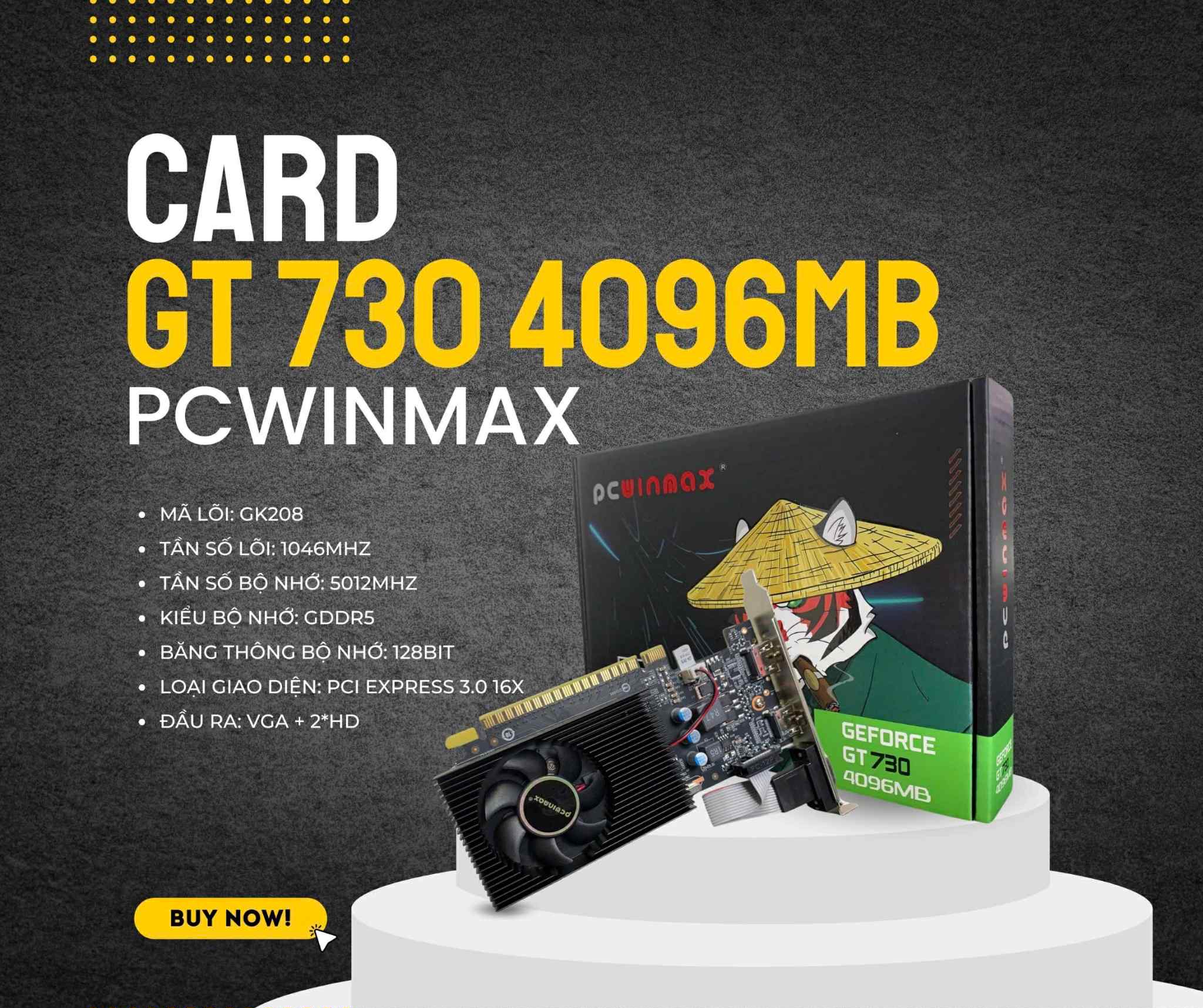 Card Màn Hình PC Winmax GT730 4G DDR3 128 Bit